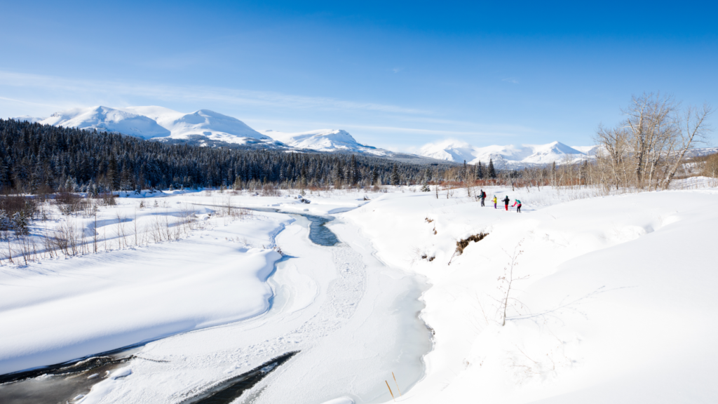 Snowshoeing Montana