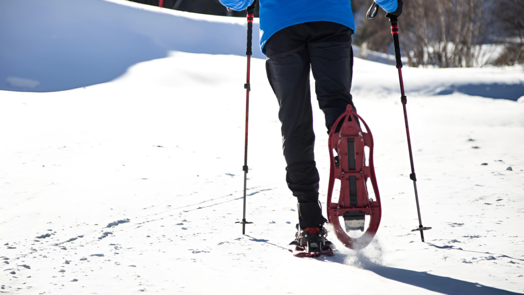Snowshoeing Montana