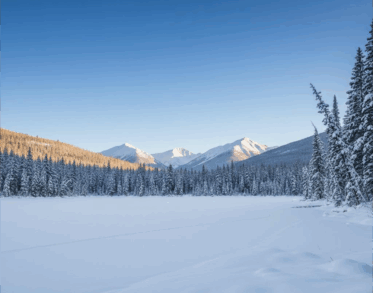 planning winter cabin vacation montana