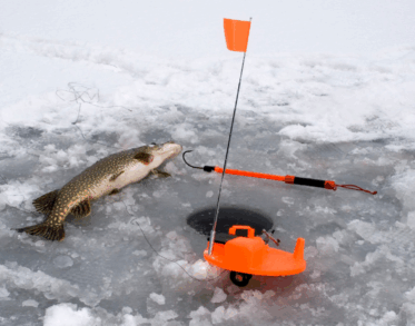 Fishing Bull Lake Montana
