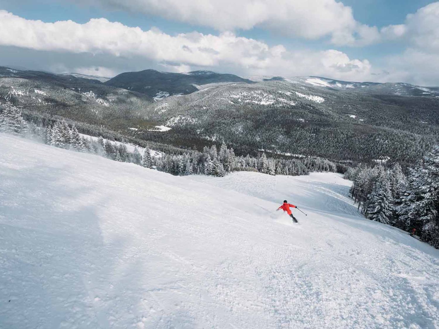 Skier descending an open slope on the upper mountain at Turner Mountain, Northwest Montana