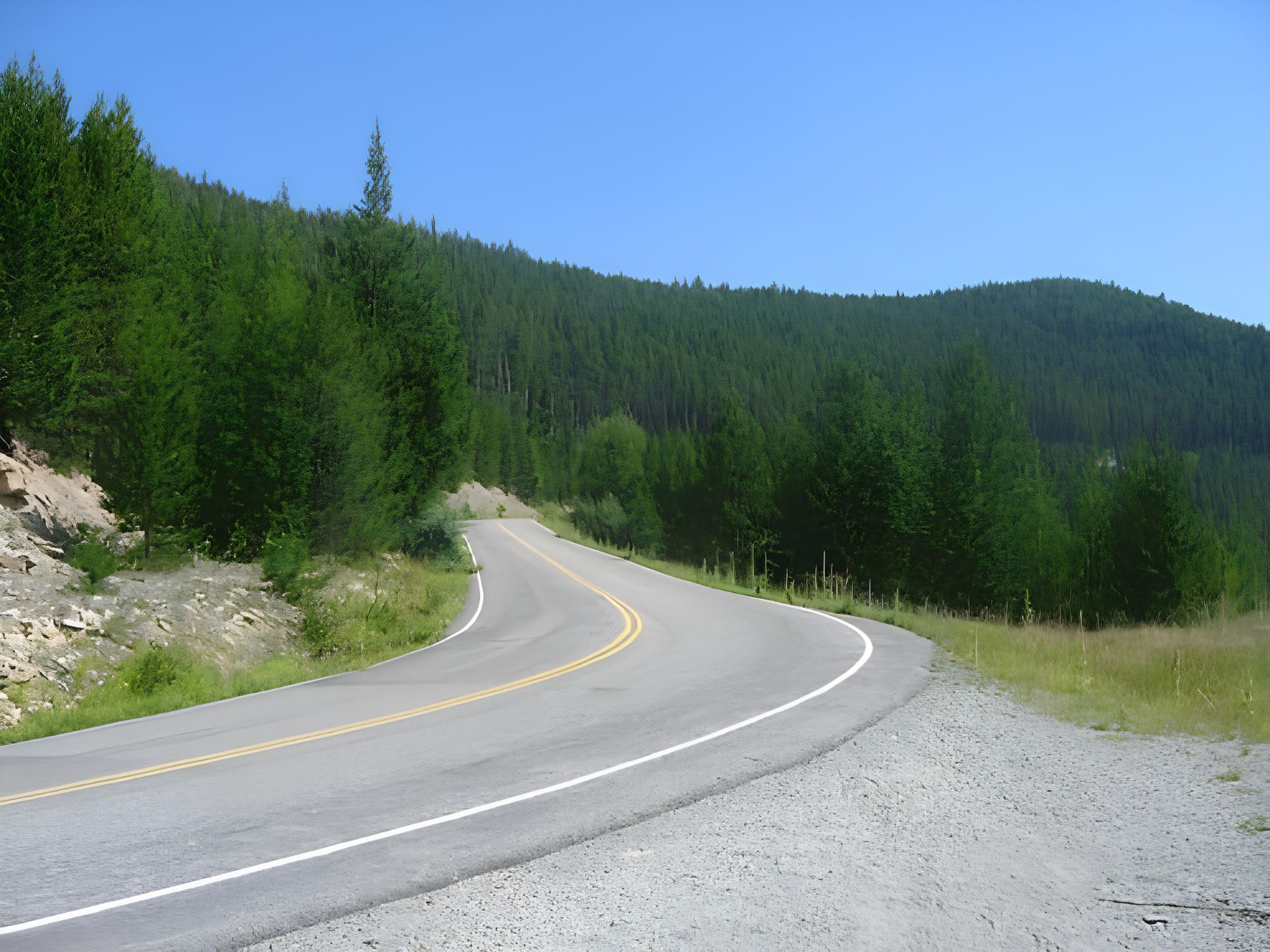 Montana Highway 508, the Yaak River Road, curving through forest north of Troy.