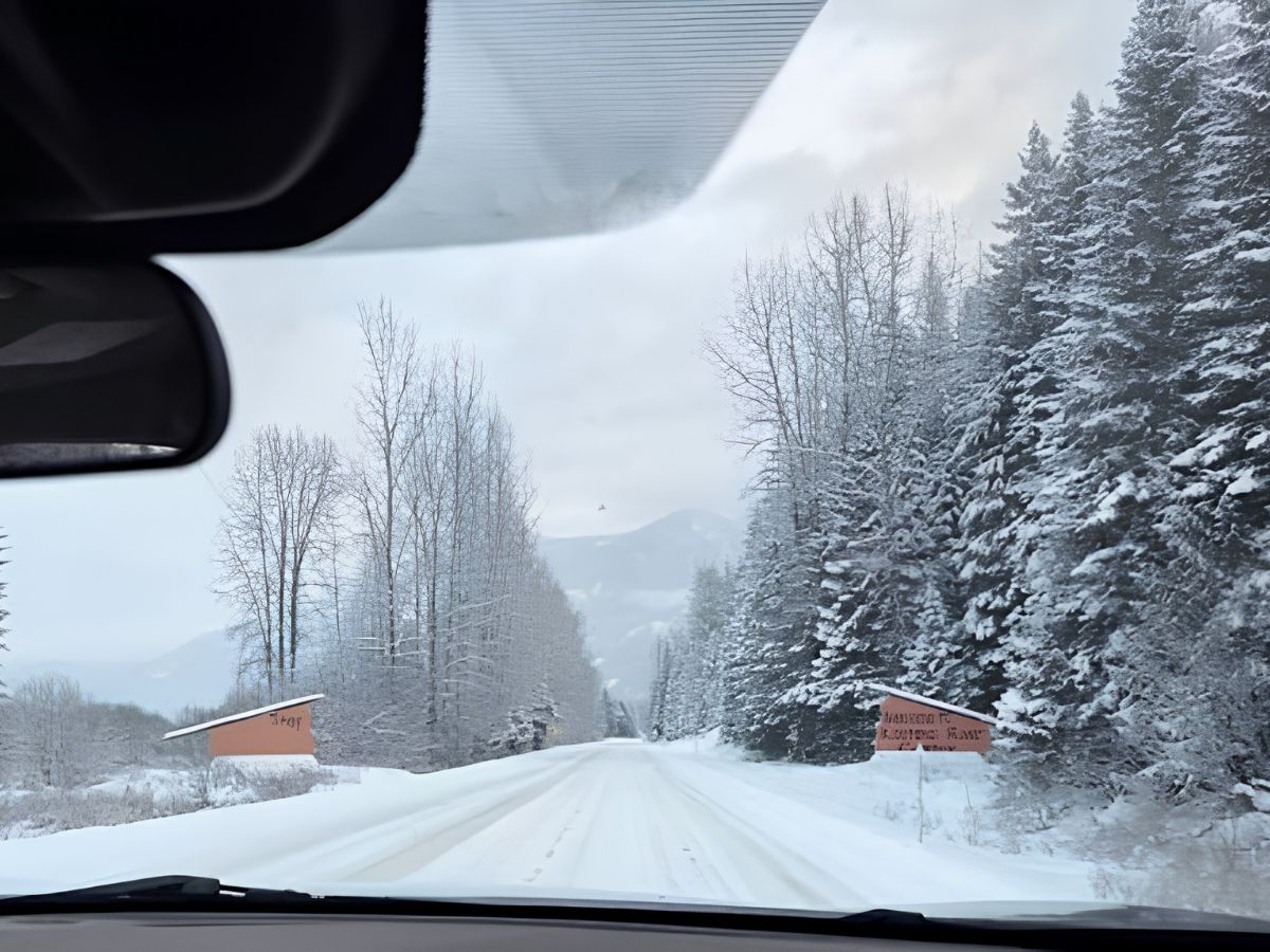 How to Get to Bull Lake, Montana: Directions & Airports
